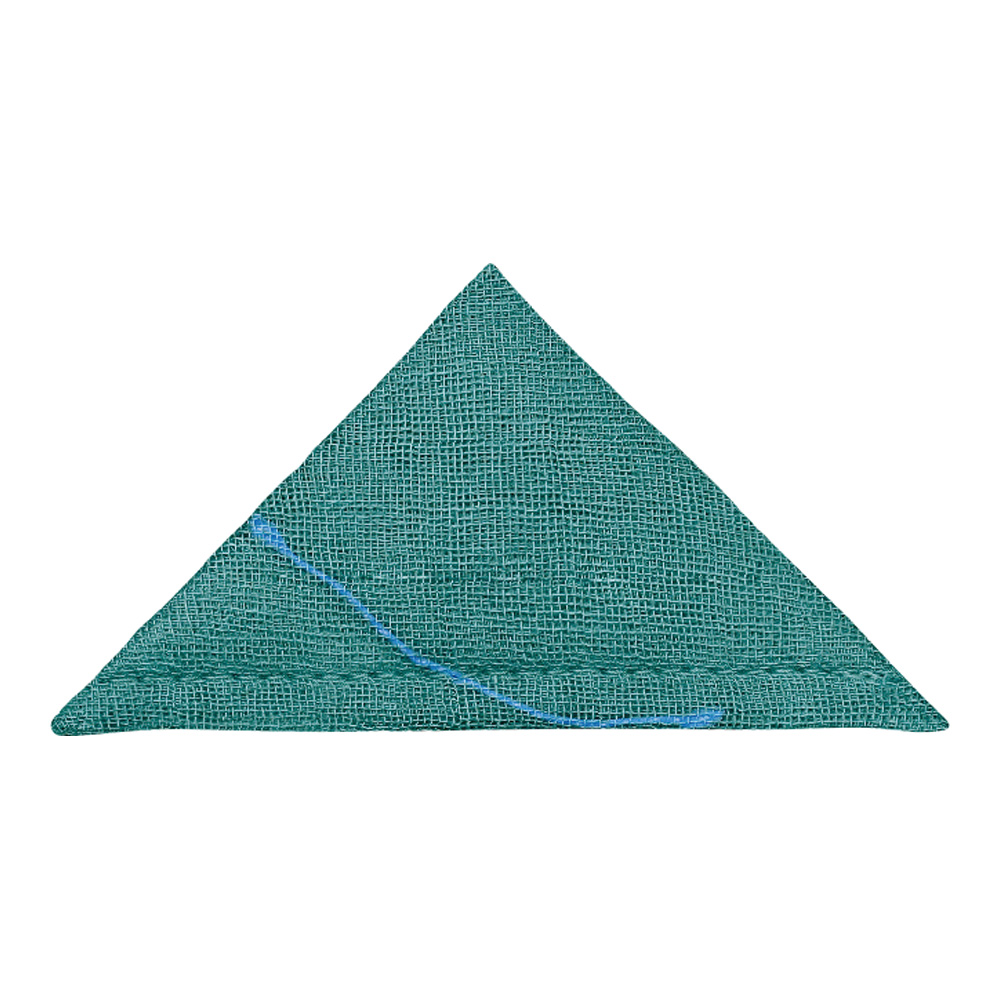 GGアブソーテックプラス　S2枚　20袋入